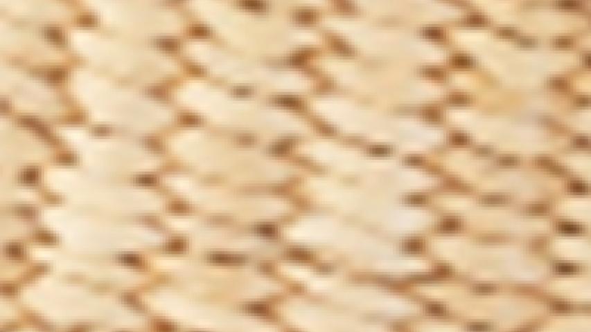 Inès Bressand: N.5 Mini Wave | Apiece Apart